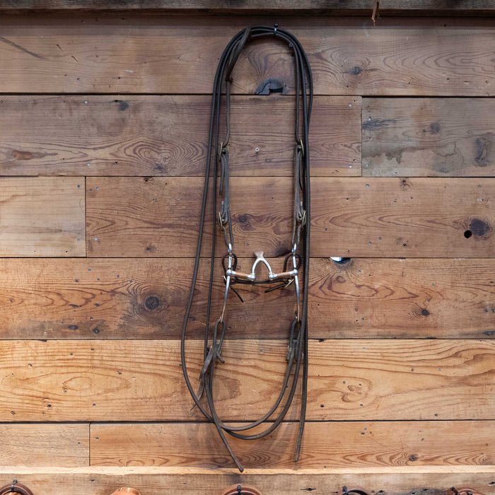 Cathedral Bridle Rig