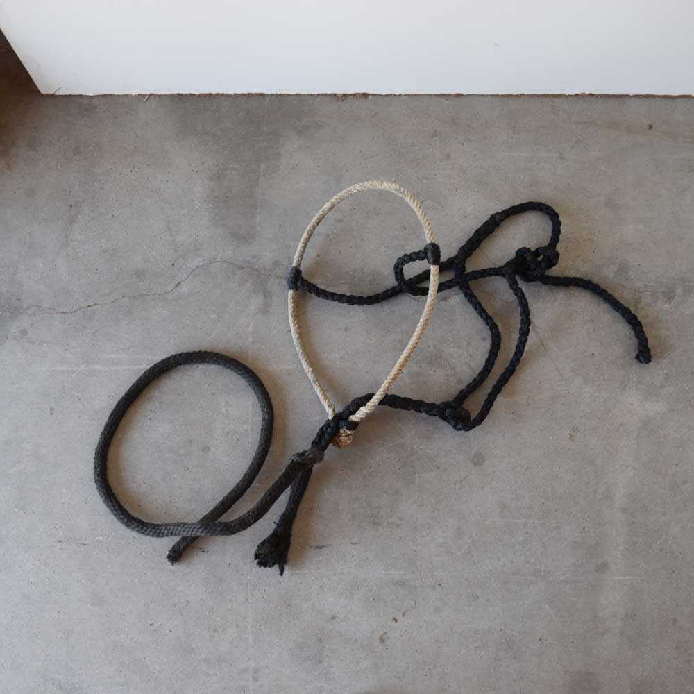 Used Rope Nose Halter With Poly Lead Sale Barn Sale Barn   