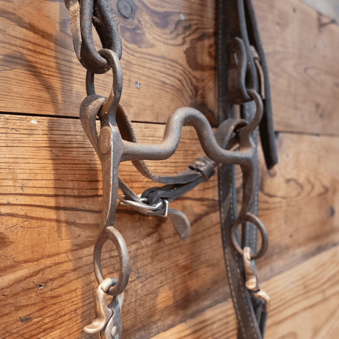 Solid Port Bit Bridle Rig