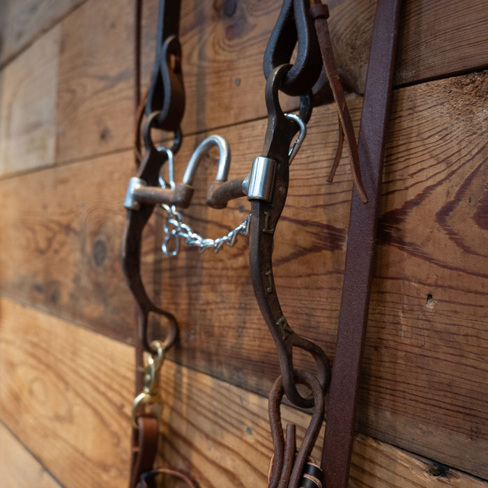 Classic Equine Correction Bit Bridle Rig