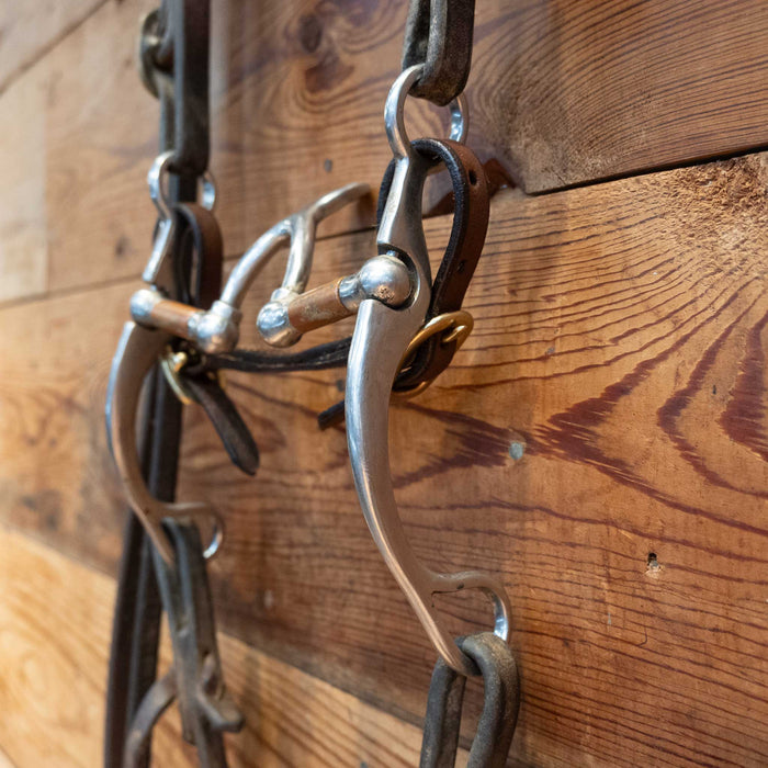 Cathedral Bridle Rig