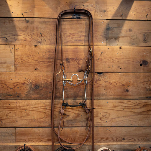 Correction w/ Copper Bars Bridle Rig Tack - Rigs misc