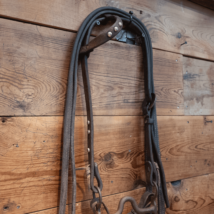 Solid Port Bit Bridle Rig