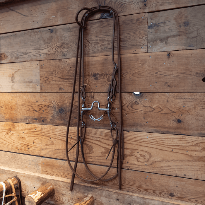 Silver Mounted Kerry Kelley Port Bit Bridle Rig
