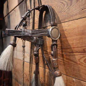 1920's Early Finely Leather Braided Horse Hair Bridle Rig