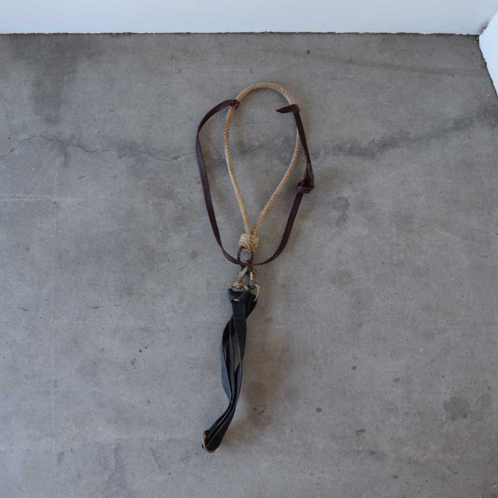 Used Noseband With Tie Down Sale Barn Sale Barn   