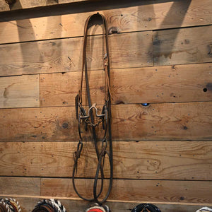 Bridle Rig - with a Cathedral Bit RIG305 Tack - Rigs MISC   