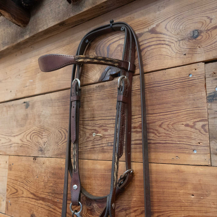 Toklat Hackamore Bridle Rig