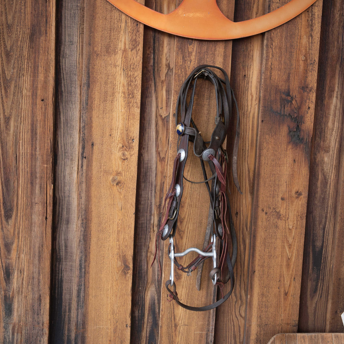 Vintage Horse Bridle Rig with Original Glass Horse Head Rosettes - Teskeys