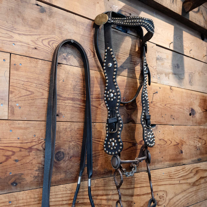 Vintage Brass Dots & Buttons Headstall w/a silver inlay bit Tack - Rigs MISC