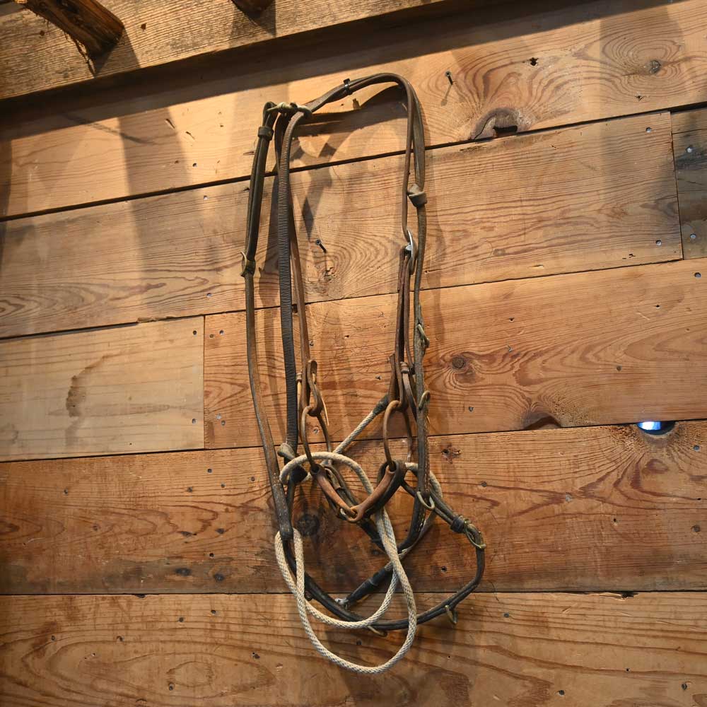 Bridle Rig - O-Ring Snaffle with German Martingale  SBR389 Tack - Rigs MISC   