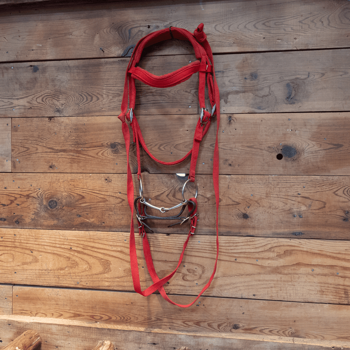 O-Ring Snaffle Bit Bridle Rig