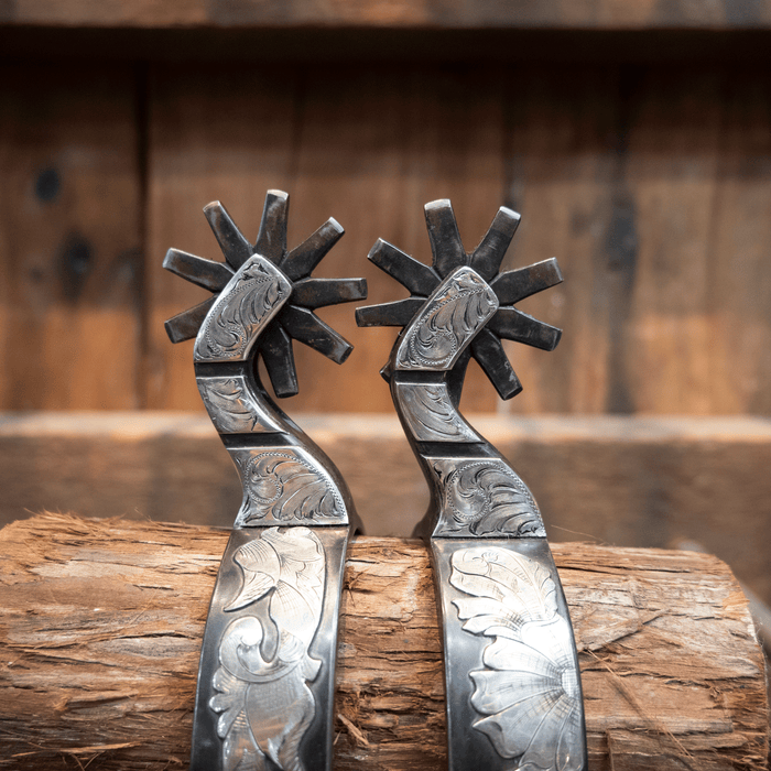 Wayne Dollar Silver Mounted 9pt Spurs