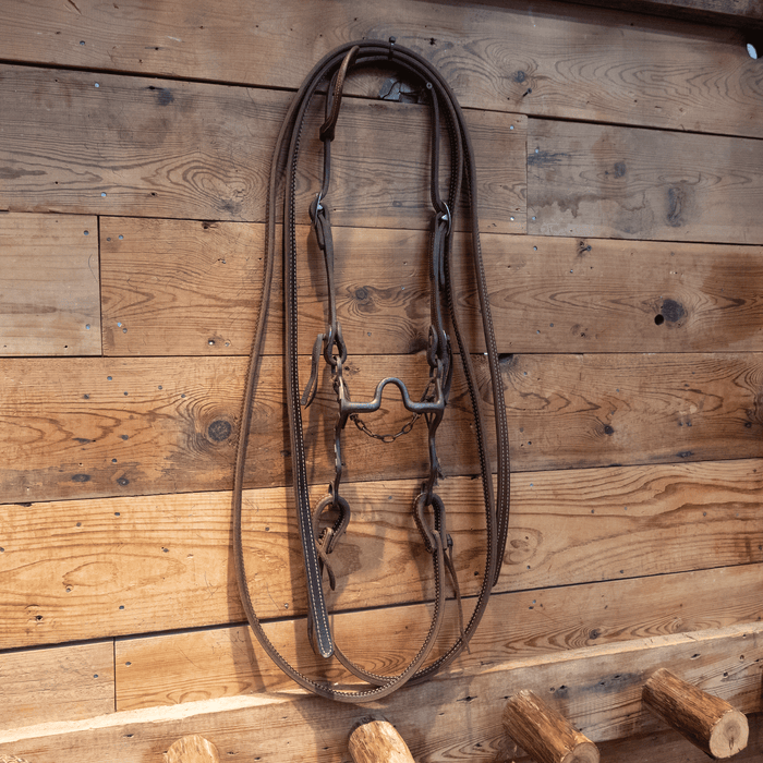 Andrews Silver Mounted Solid Port Bit Bridle Rig