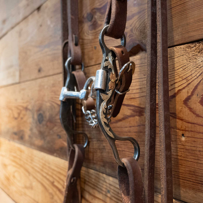 Classic Equine Correction Bridle Rig