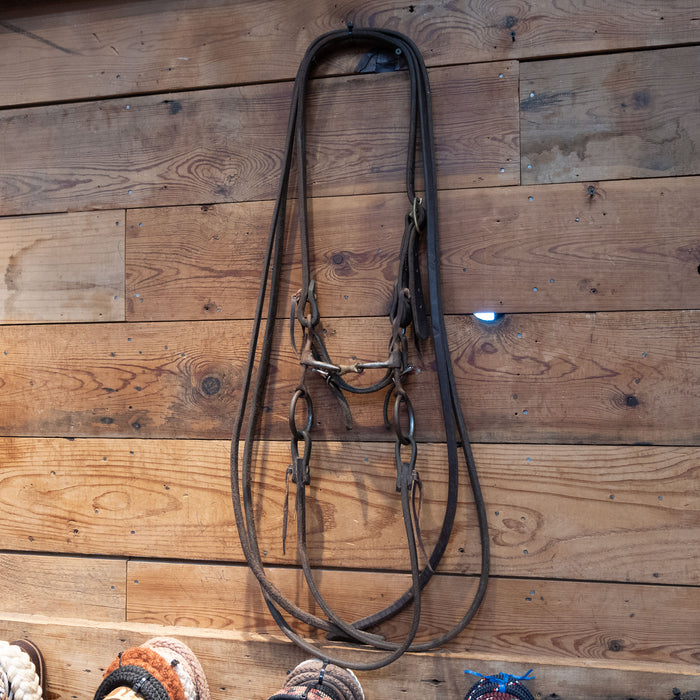3 Piece Gag Globe Bit Bridle Rig