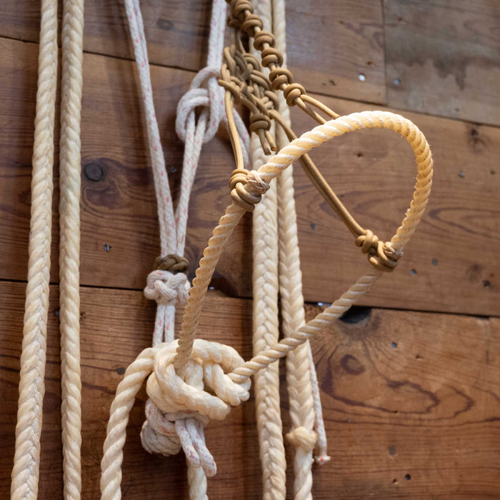 Loping Hack w/ Crowsfoot Headstall