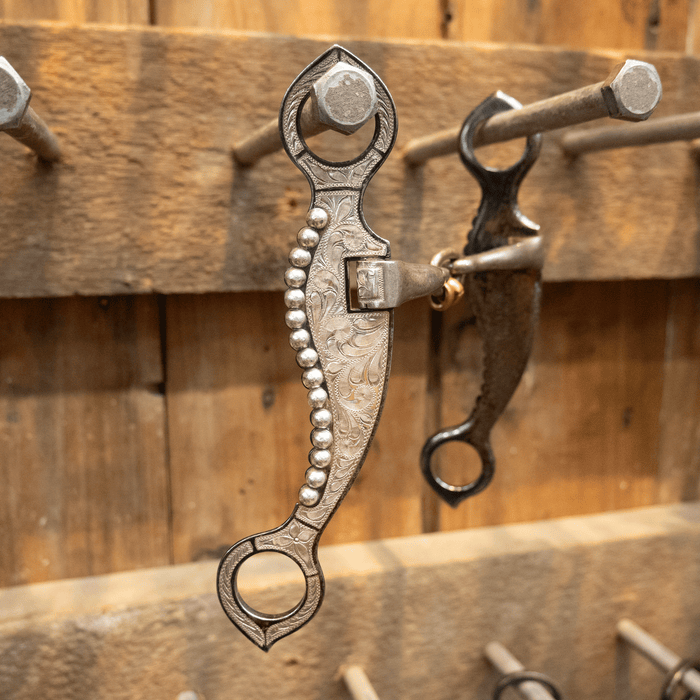 Sunny Silva Lifesaver Bit