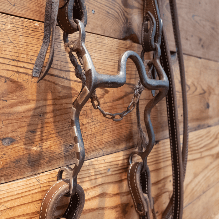 Andrews Silver Mounted Solid Port Bit Bridle Rig
