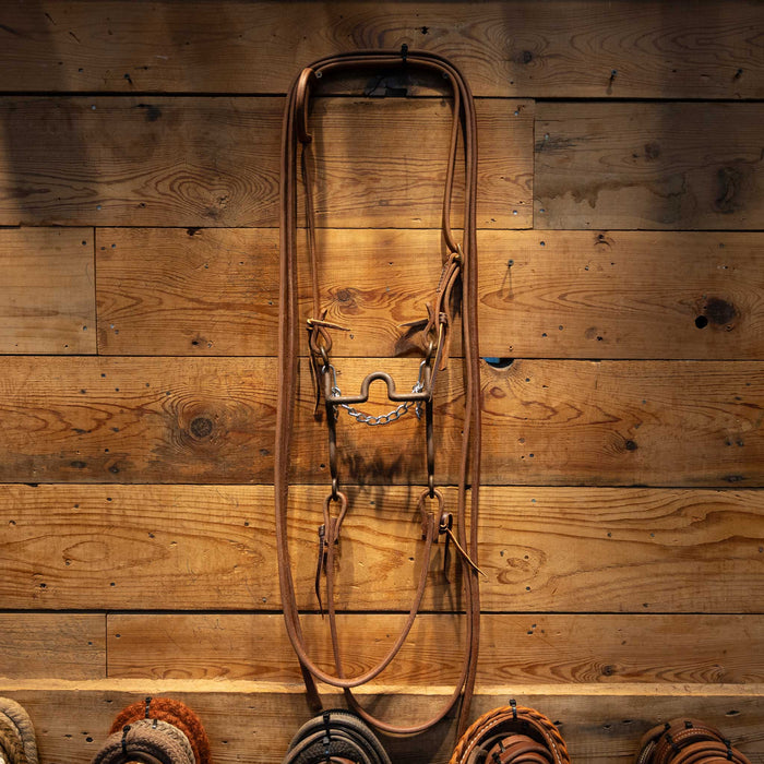 Daryl Davis Solid Port Bridle Rig