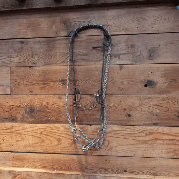 Draw Gag twisted Snaffle Bridle Rig