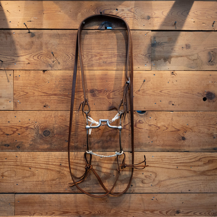 Silver Shanks - Hinge Port Rig Sale Barn MISC