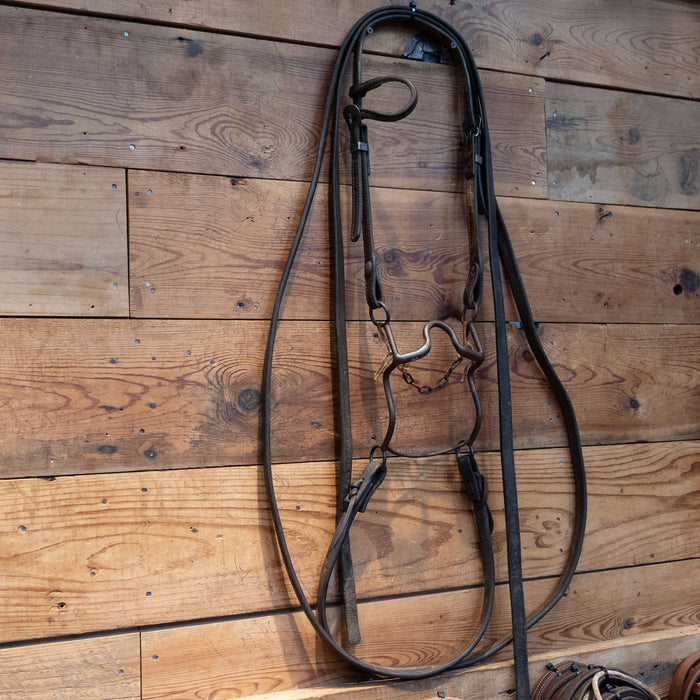 Daryl Davis Solid Port Bridle Rig