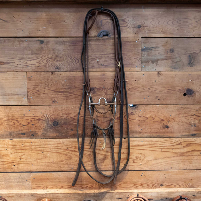Don Hansen Correction Bridle Rig