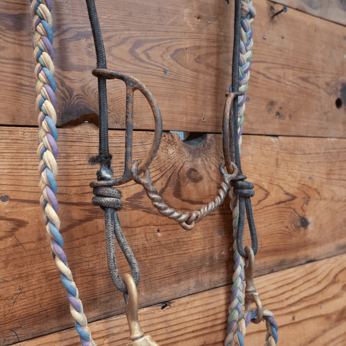 Draw Gag twisted Snaffle Bridle Rig