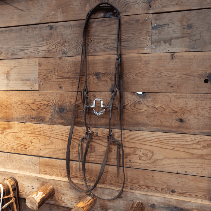 Josh Ownbey Twisted Wire Hinge Port Correction Bit Bridle Rig