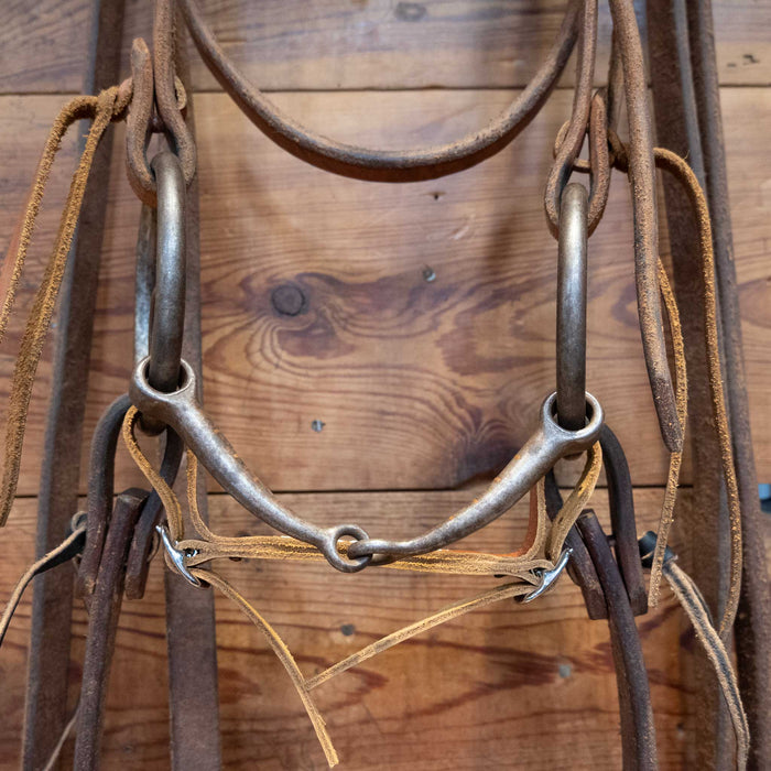 Clark White Locked O-Ring Snaffle Bridle Rig