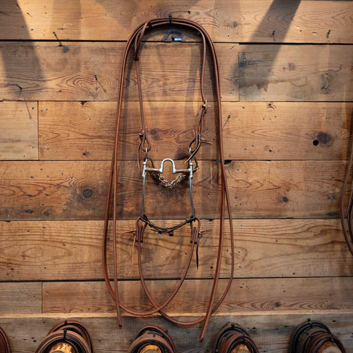 Dennis Moreland Correction Bridle Rig Tack - Rigs Dennis Moreland