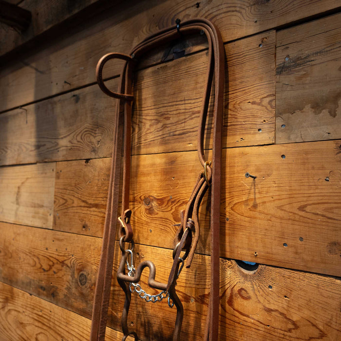 Daryl Davis Solid Port Bridle Rig