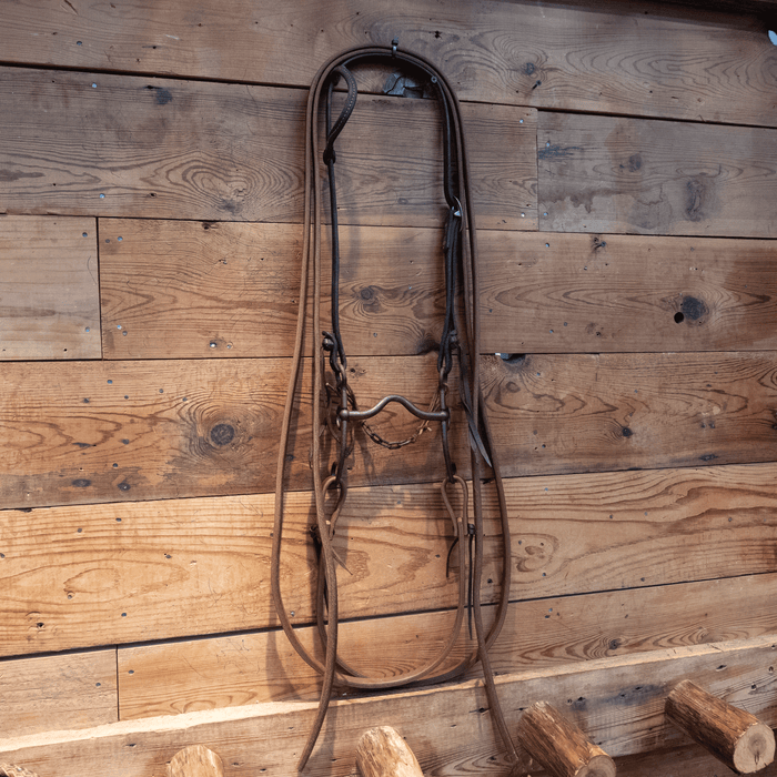 Kerry Kelley Solid Port Bit Bridle Rig