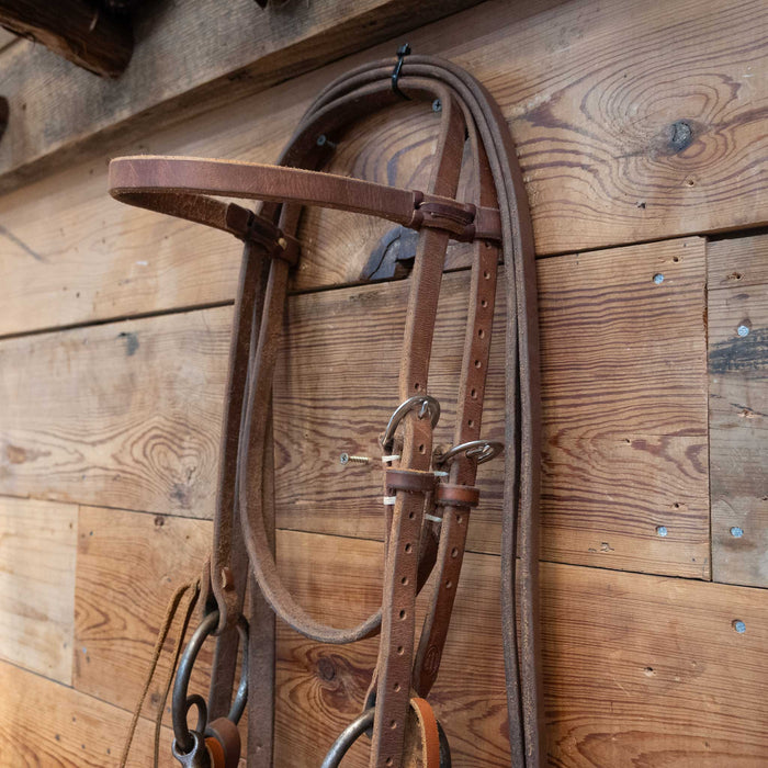 Clark White Locked O-Ring Snaffle Bridle Rig