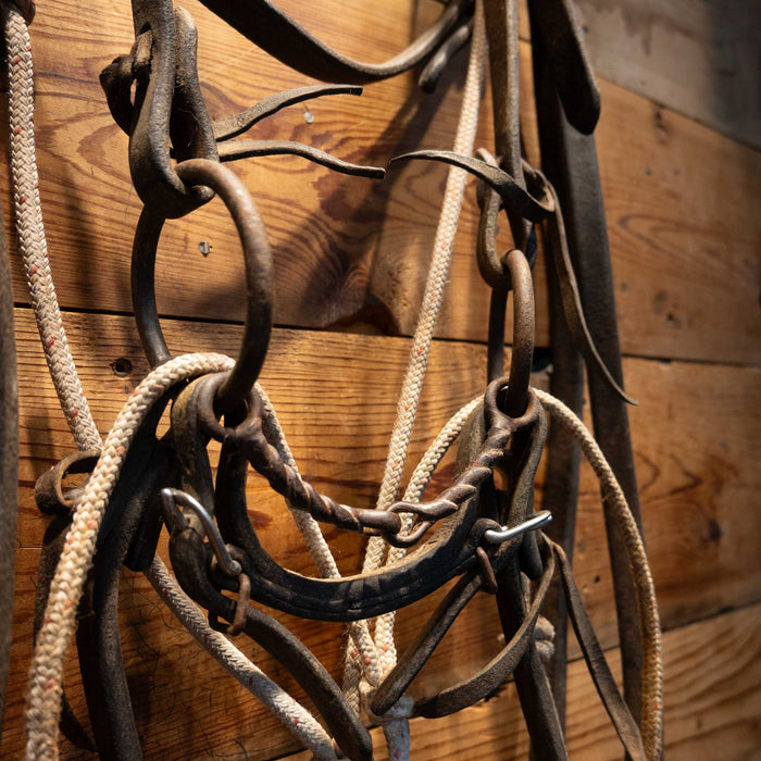 O-Ring Twisted Snaffle Bridle Rig