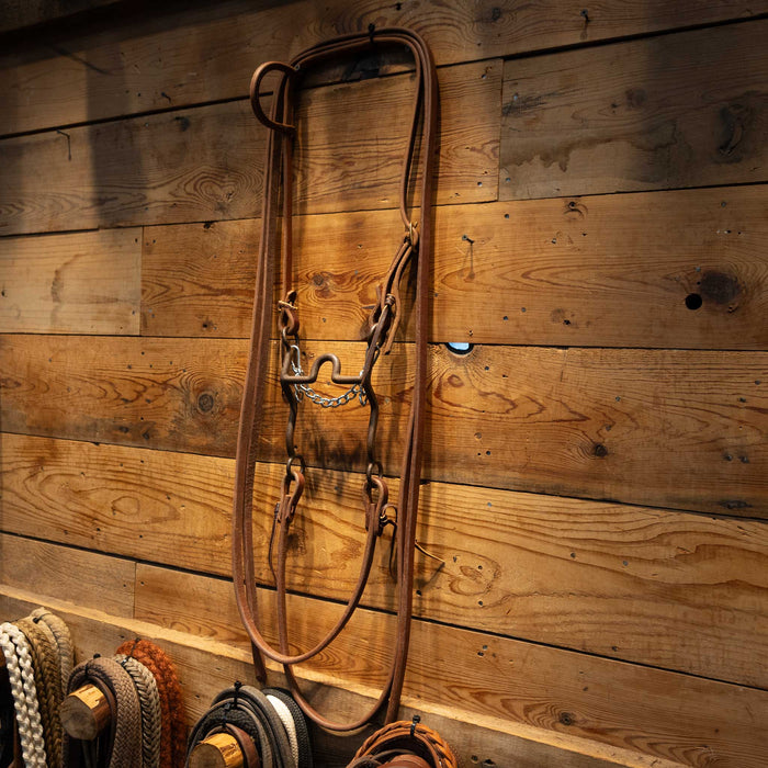 Daryl Davis Solid Port Bridle Rig