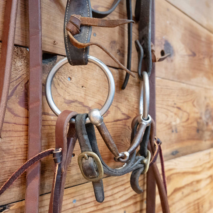 O-Ring Snaffle Bridle Rig