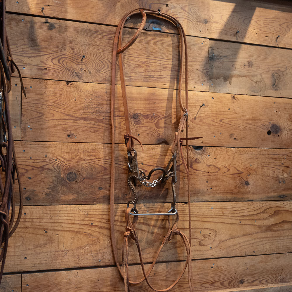 Gordy Alderson Ported Chain Bridle Rig