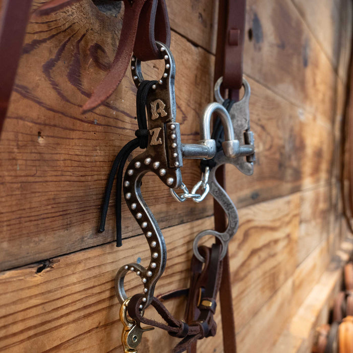 Alderson Correction Bridle Rig