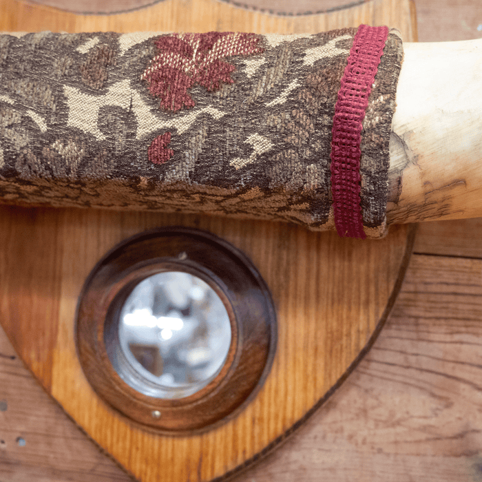Early 1900's Mounted Horns with Mirror