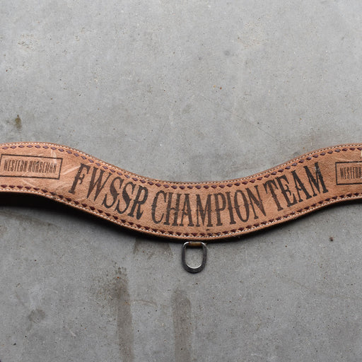 Barely Used Teskeys Trophy Roughout Tripping Collar Sale Barn Teskey's