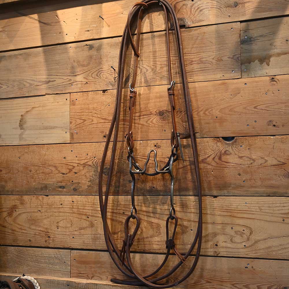Bridle Rig - Silver Mounted Shanks - Solid Cathedral  Bit RIG381 Tack - Rigs MISC   