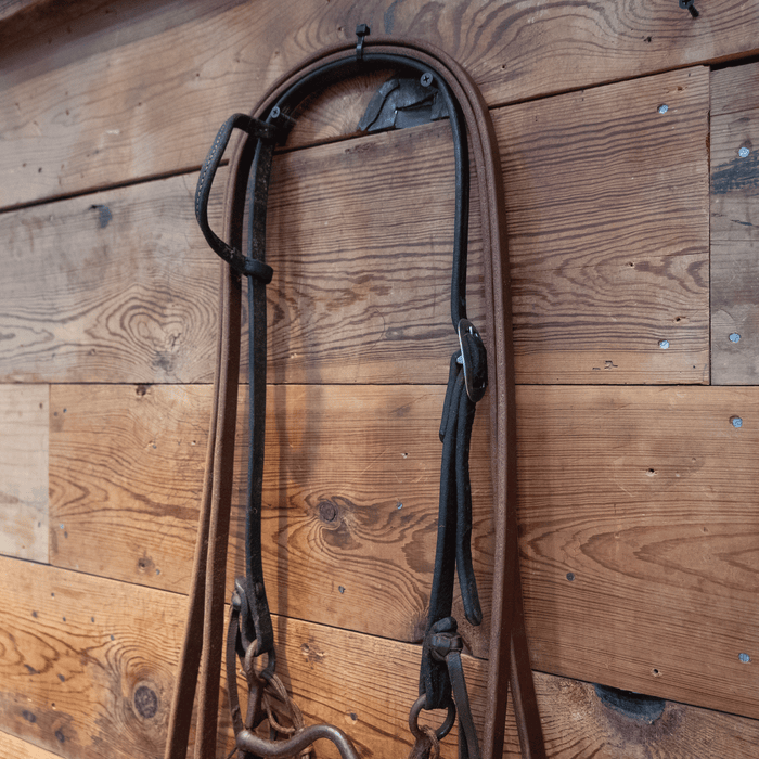 Kerry Kelley Solid Port Bit Bridle Rig