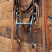 CHS Long Dog Bone Bridle Rig Tack - Training Cow Horse Supply