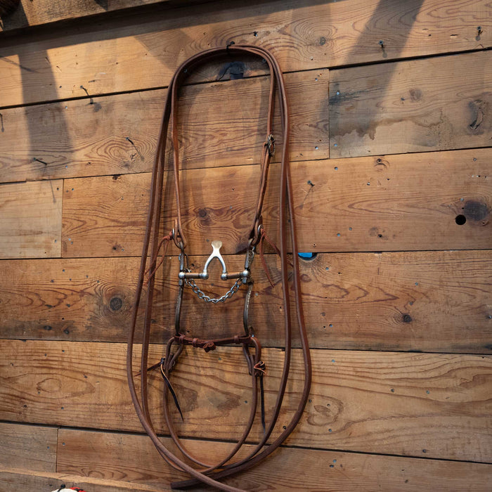 Kerry Kelley Cathedral Silver Mounted Bridle Rig Tack - Rigs Kerry Kelley