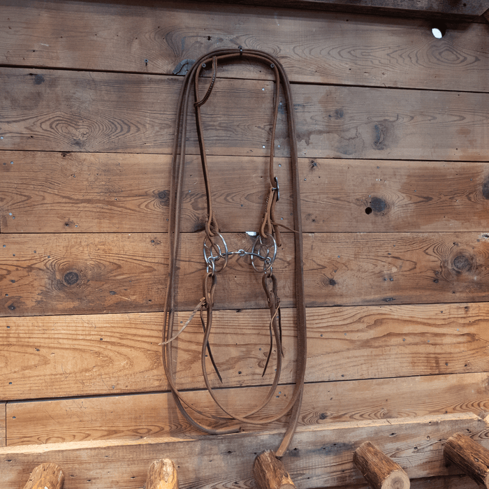 O-Ring Snaffle Bridle Rig