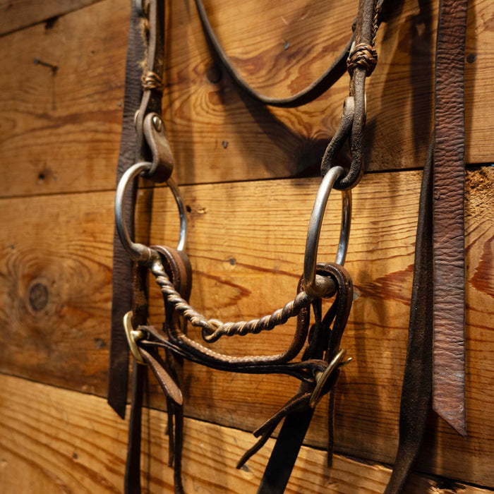D-Ring Twisted Snaffle Bridle Rig Tack - Rigs MISC