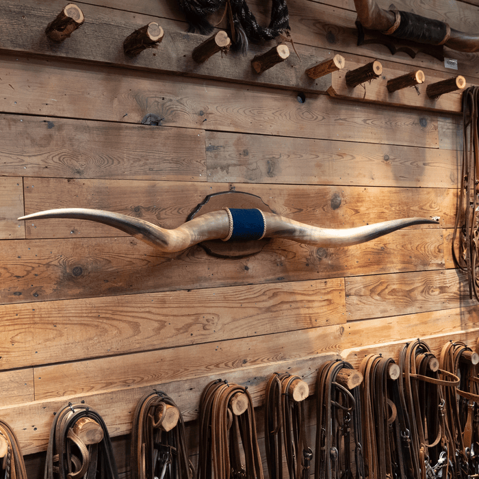 Mounted Horns over 5 feet with a Blue Velvet Center