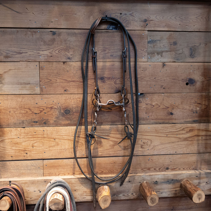 Solid Port Bit Bridle Rig